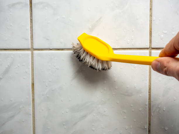 Best Commercial Mold Removal  in Martha Lake, WA