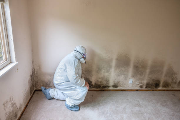 Best Mold Damage Repair  in Martha Lake, WA